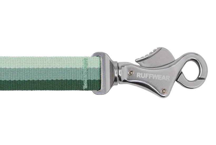 Ruffwear Roamer™ Bungee Dog Leash