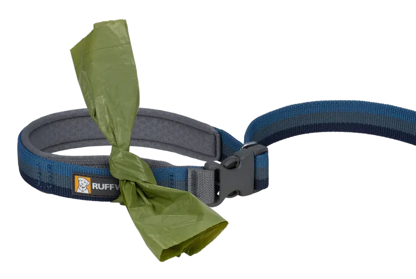 Ruffwear Roamer™ Bungee Dog Leash