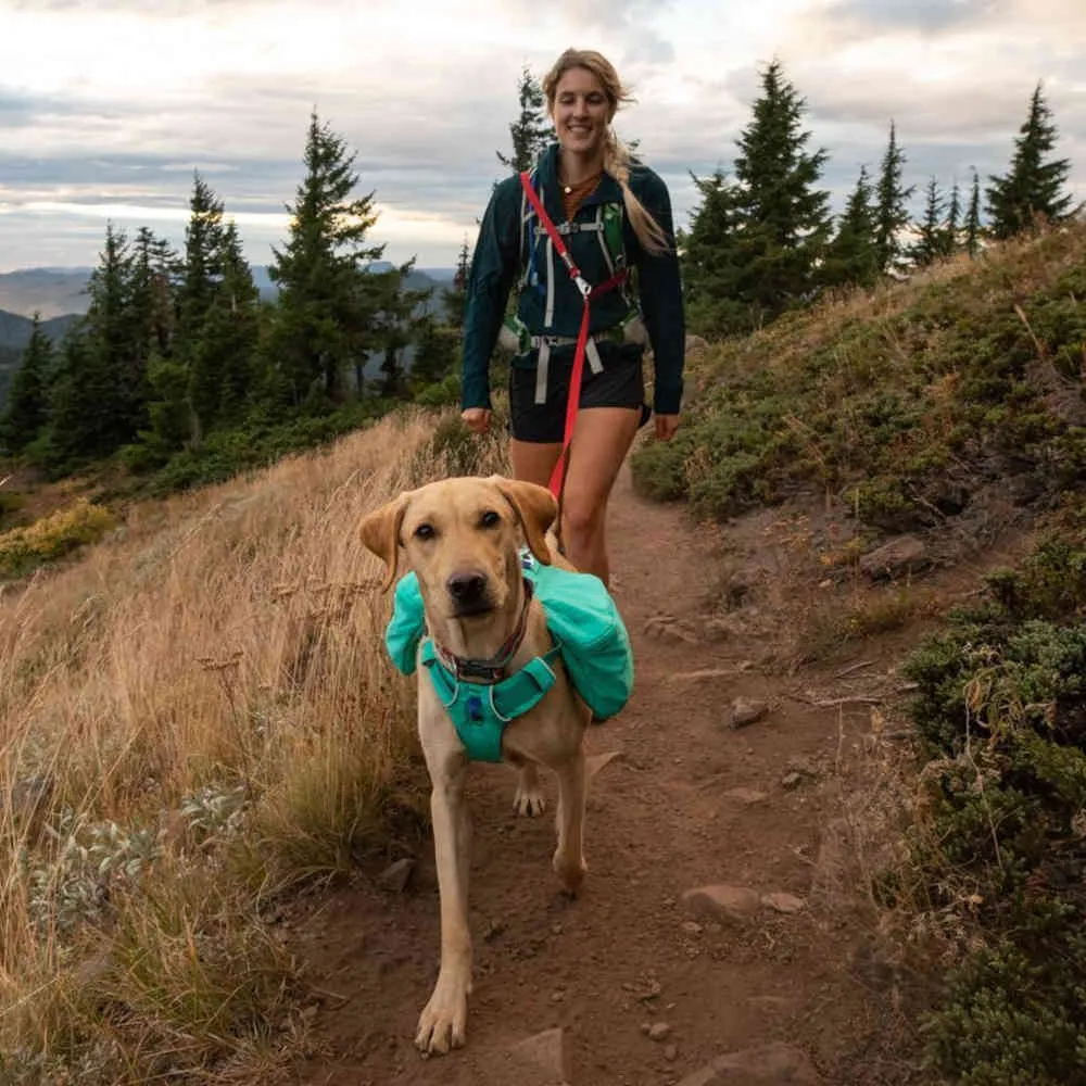 Ruffwear Switchbak Lightweight Multi-Function Dog Leash (Red Sumac)