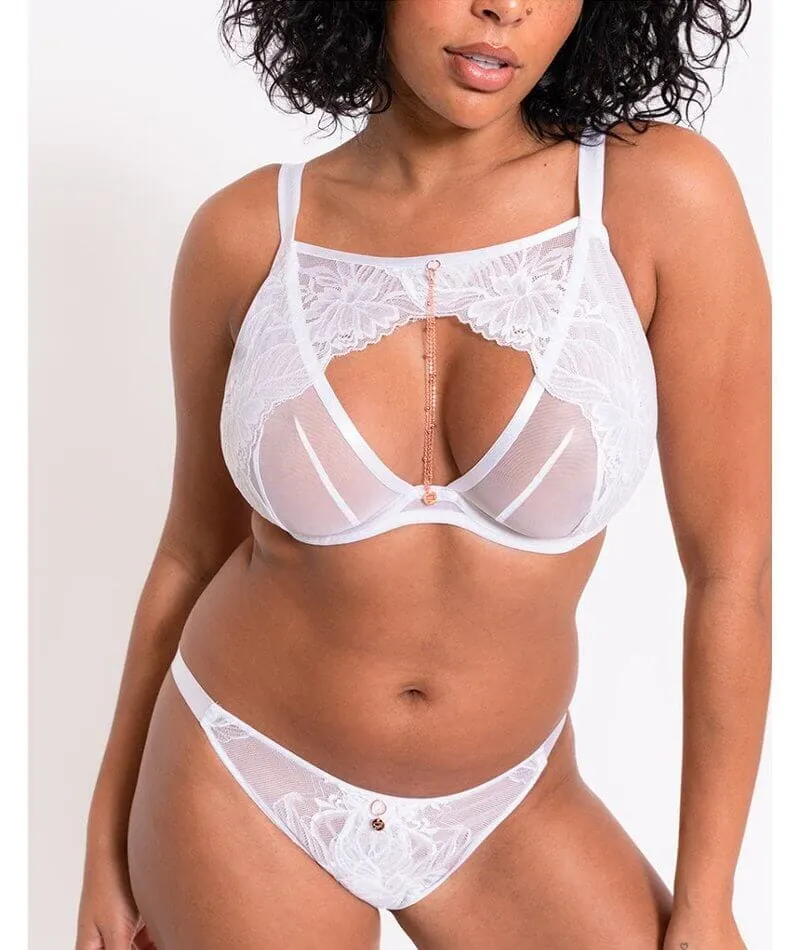 Scantilly Unveiled Brazilian Brief - White