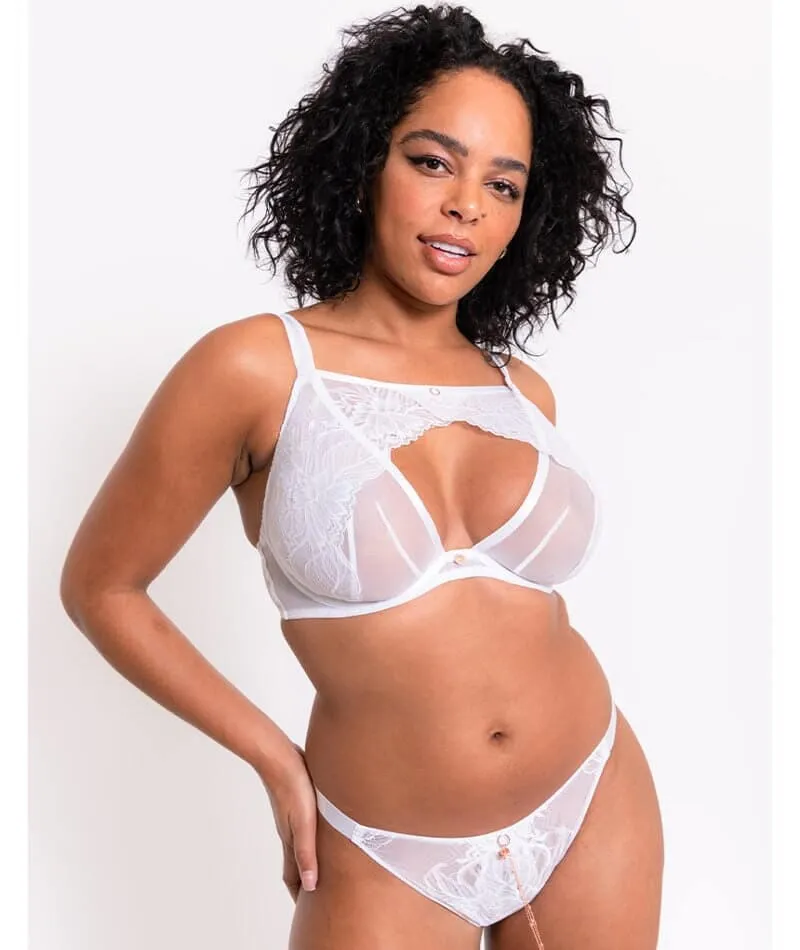 Scantilly Unveiled Brazilian Brief - White
