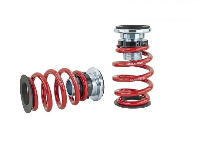 Skunk2 Pro-ST Coilovers - 06-11 Honda Civic Si - 541-05-8750