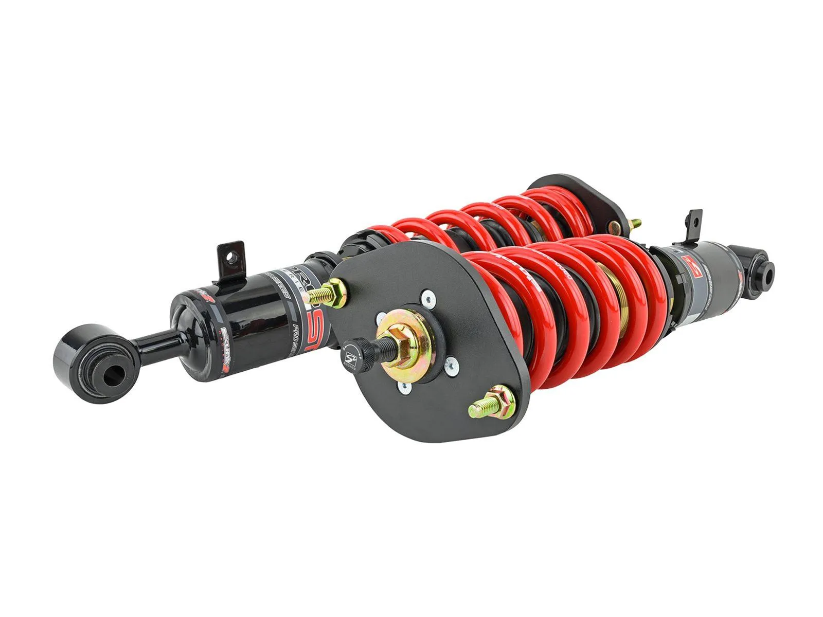 Skunk2 Racing Pro-ST Coilovers 541-10-1100