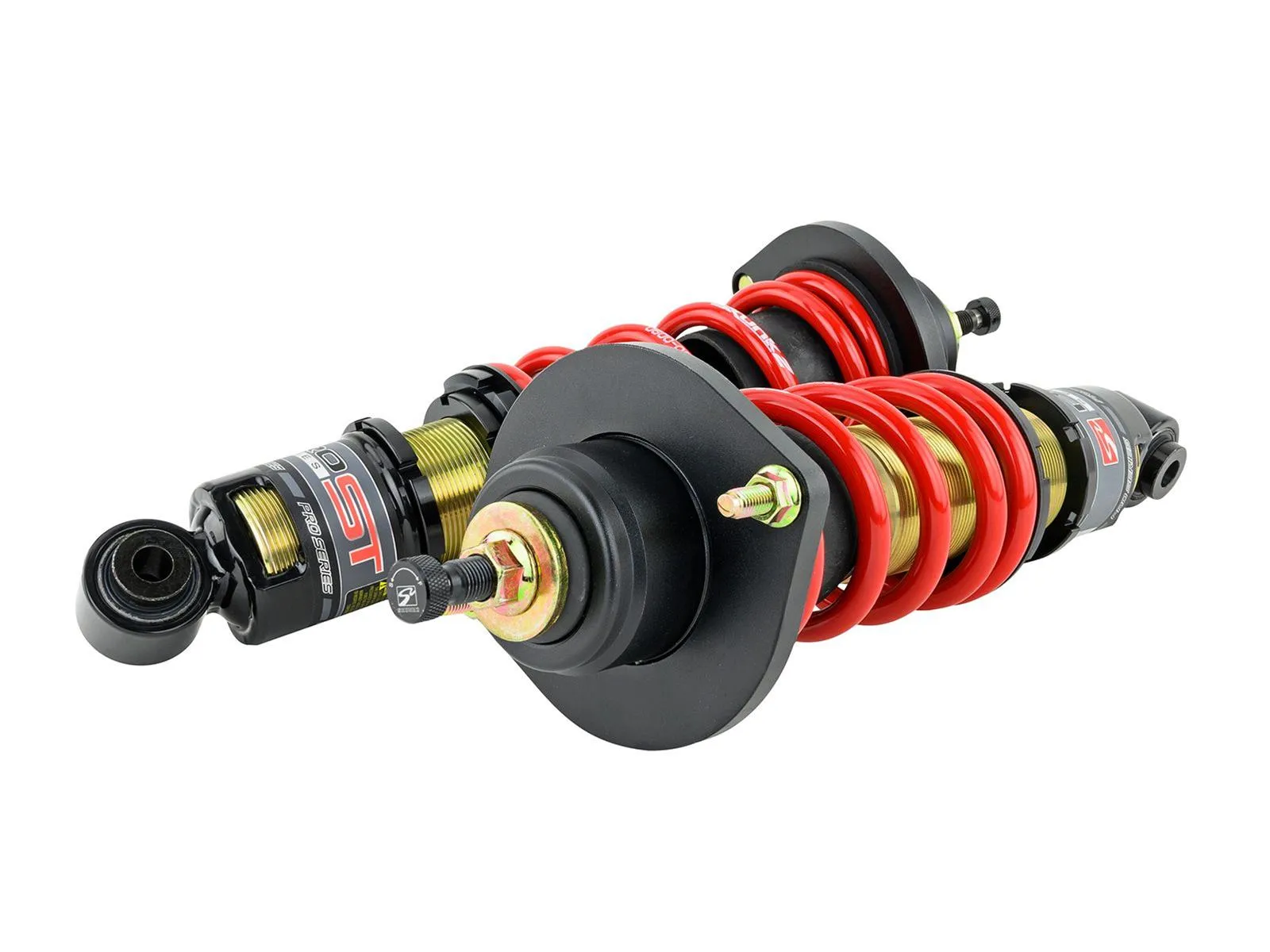 Skunk2 Racing Pro-ST Coilovers 541-10-1100