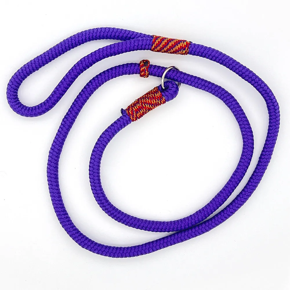 Slip Lead for Dogs Large