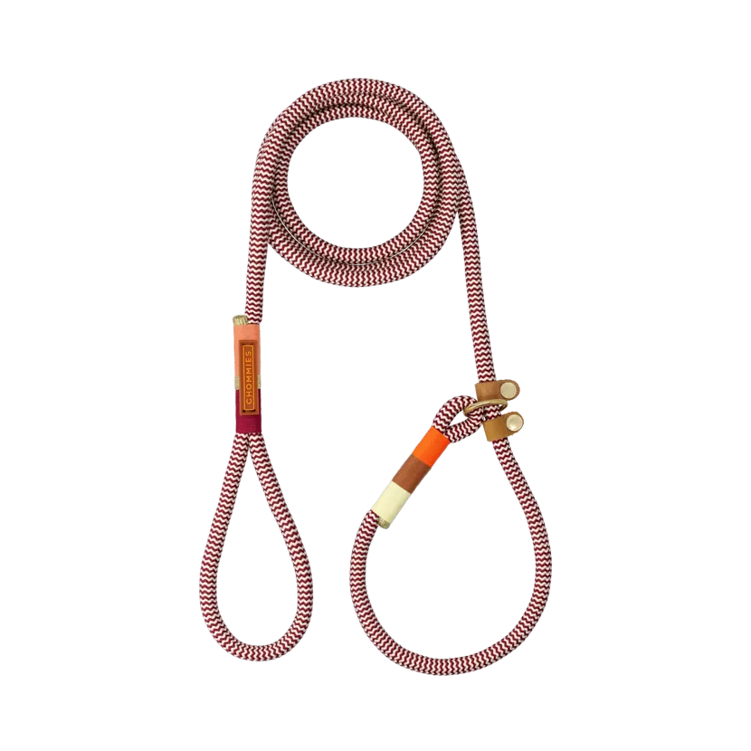 Slip-on Dog Leash | Autumn