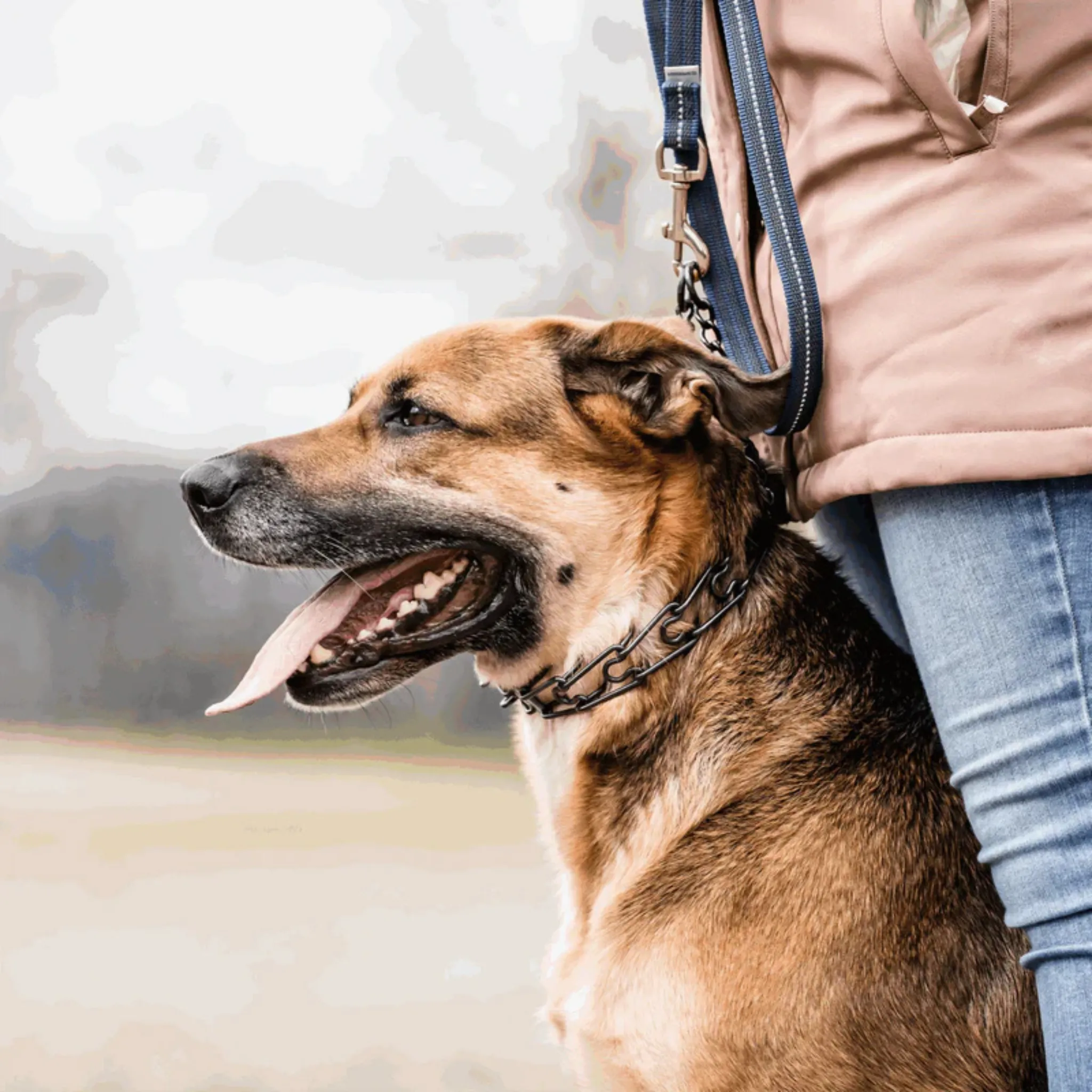 Sprenger Ultra Plus Easy-On Black Prong Collar