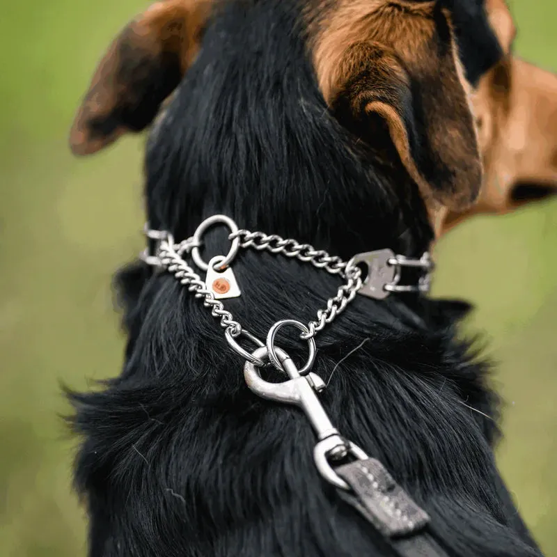 Sprenger Ultra Plus Easy-On Stainless Steel Prong Collar