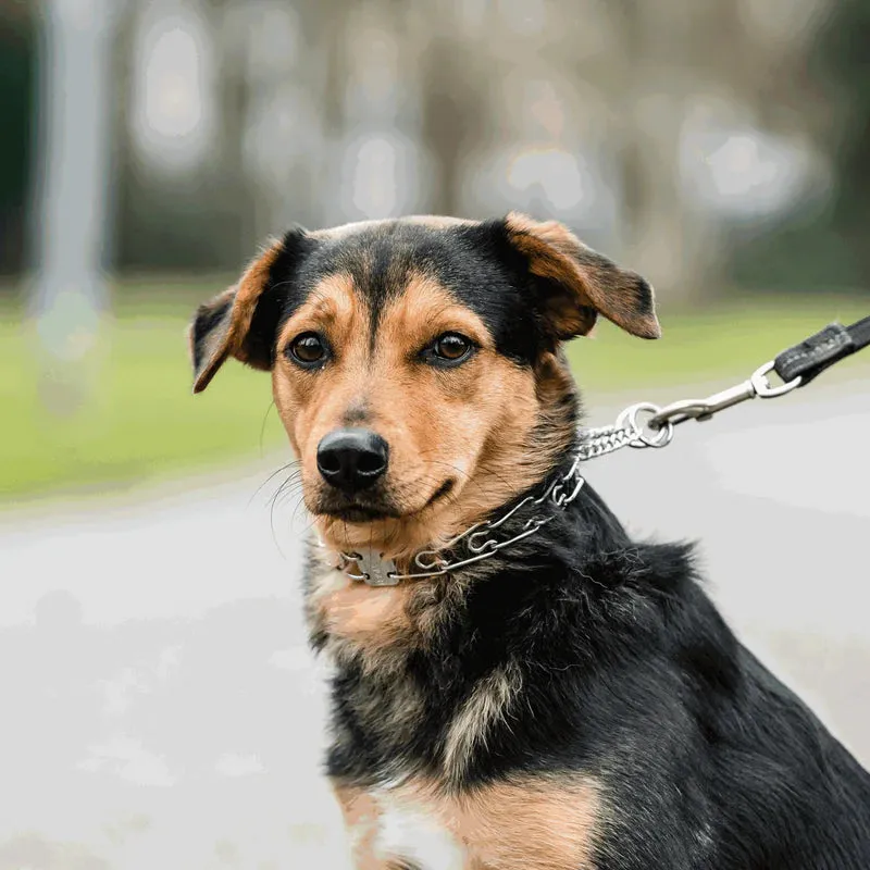 Sprenger Ultra Plus Easy-On Stainless Steel Prong Collar