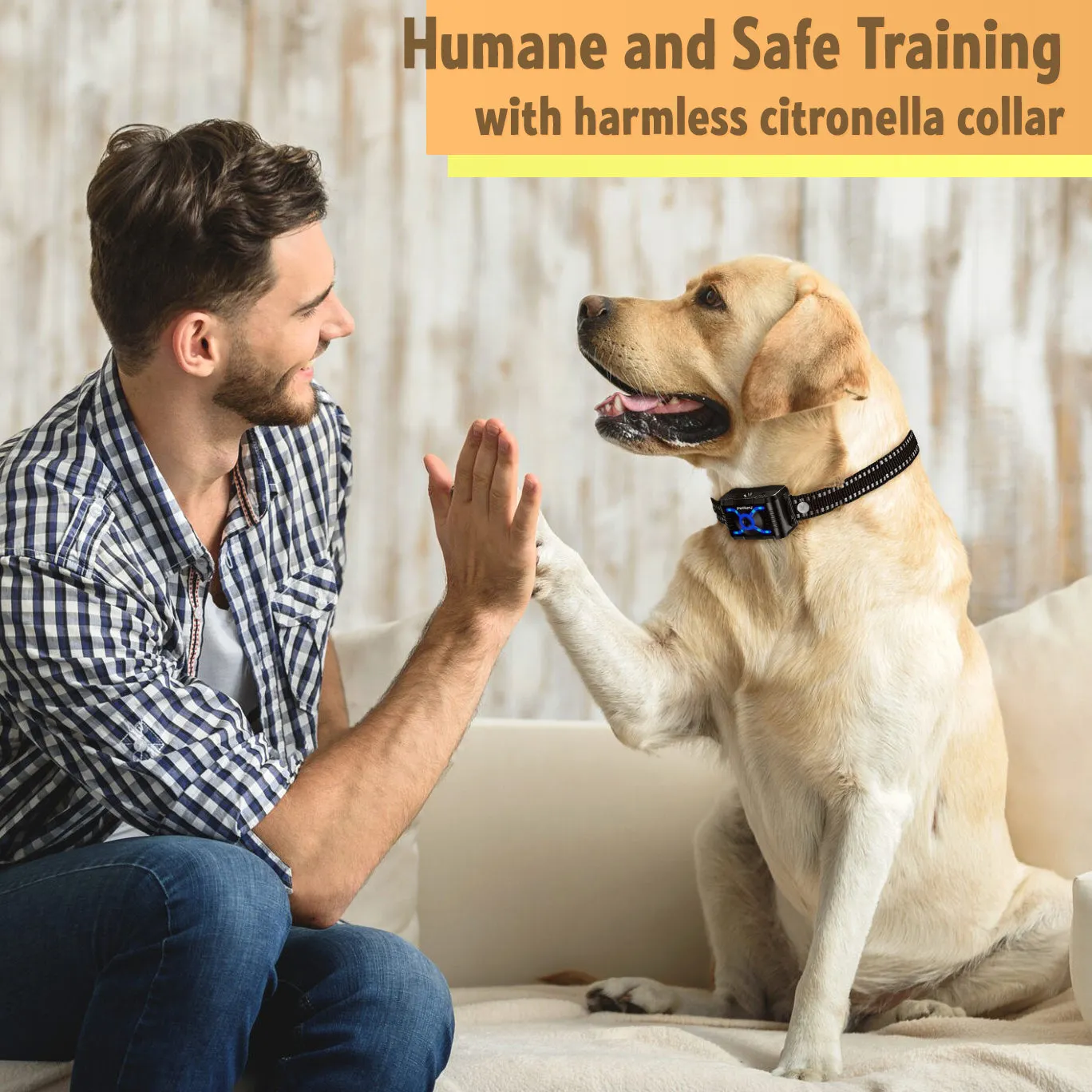 T500 citronella spray for dogs - remote spray dog training collar
