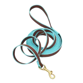 Training Leash | Brown & Aqua