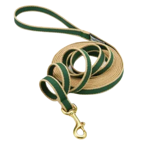Training Leash | Forest & Tan