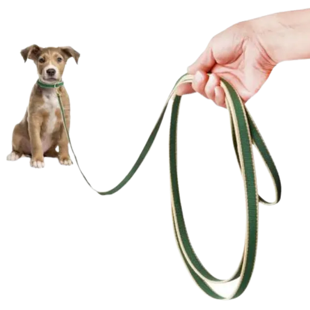 Training Leash | Forest & Tan