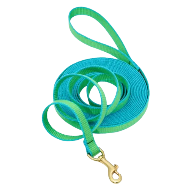 Training Leash | Lime & Aqua
