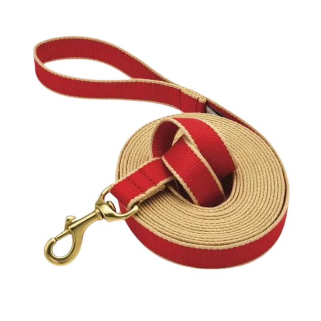 Training Leash | Red & Tan