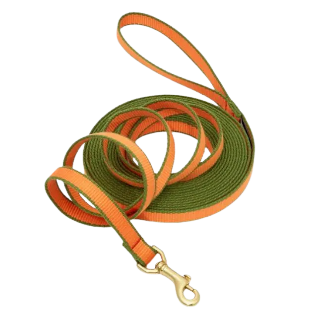 Training Leash | Tangerine & Pine