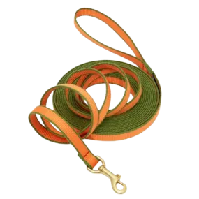 Training Leash | Tangerine & Pine