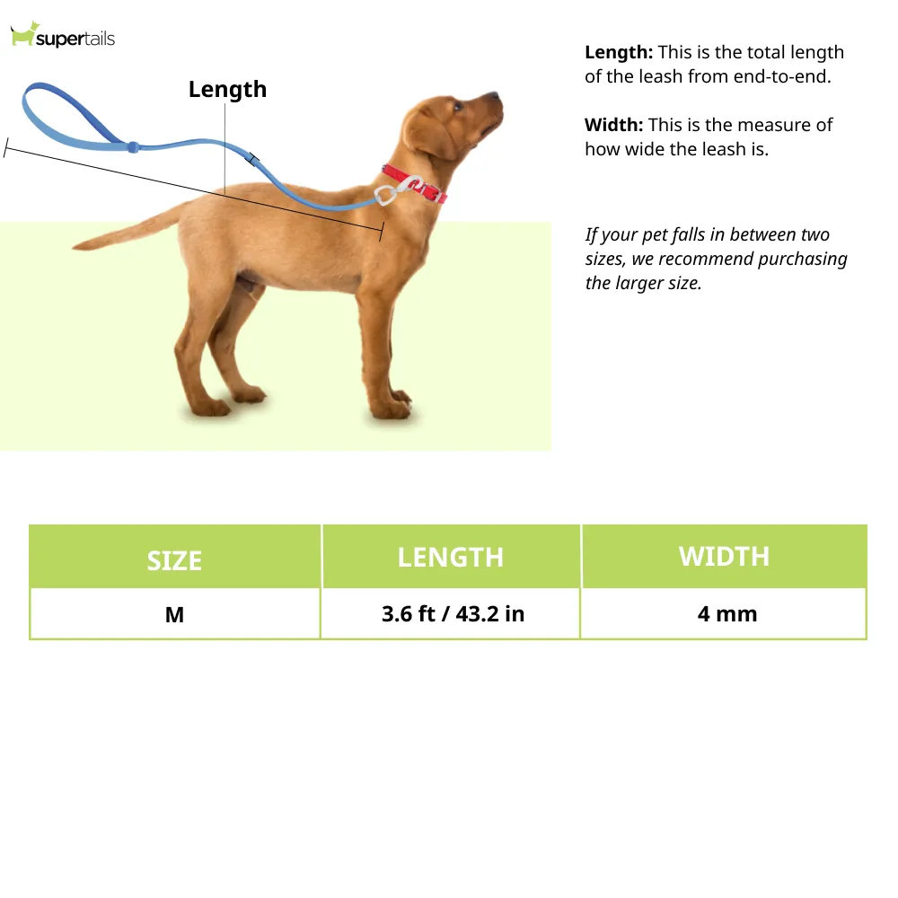 Trixie Chain Leash with Nylon Hand Loop for Dogs (Black)