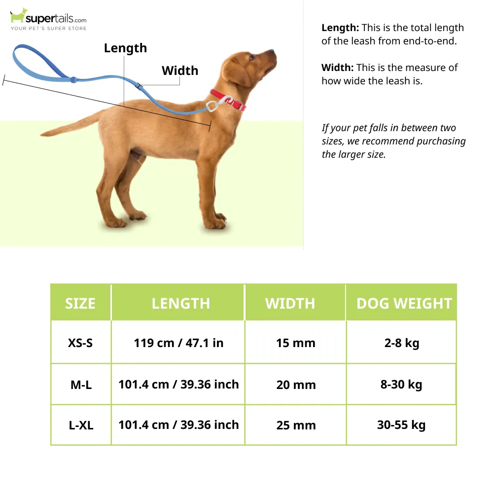 Trixie Premium H Harness, Premium Leash and Collar for Dogs Combo (Royal Blue) - M