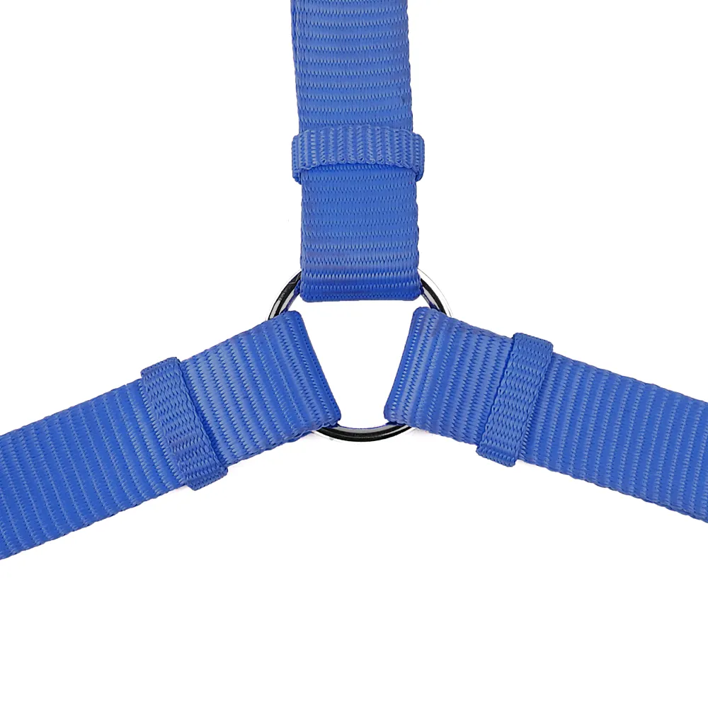 Trixie Premium H Harness, Premium Leash and Collar for Dogs Combo (Royal Blue) - M