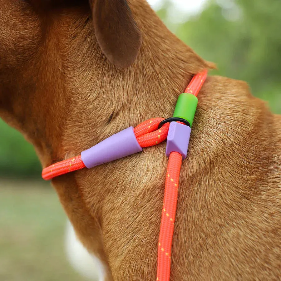 Zee.Dog Slip-N-Lock Adjustable Dog Rope Leash (Everest)
