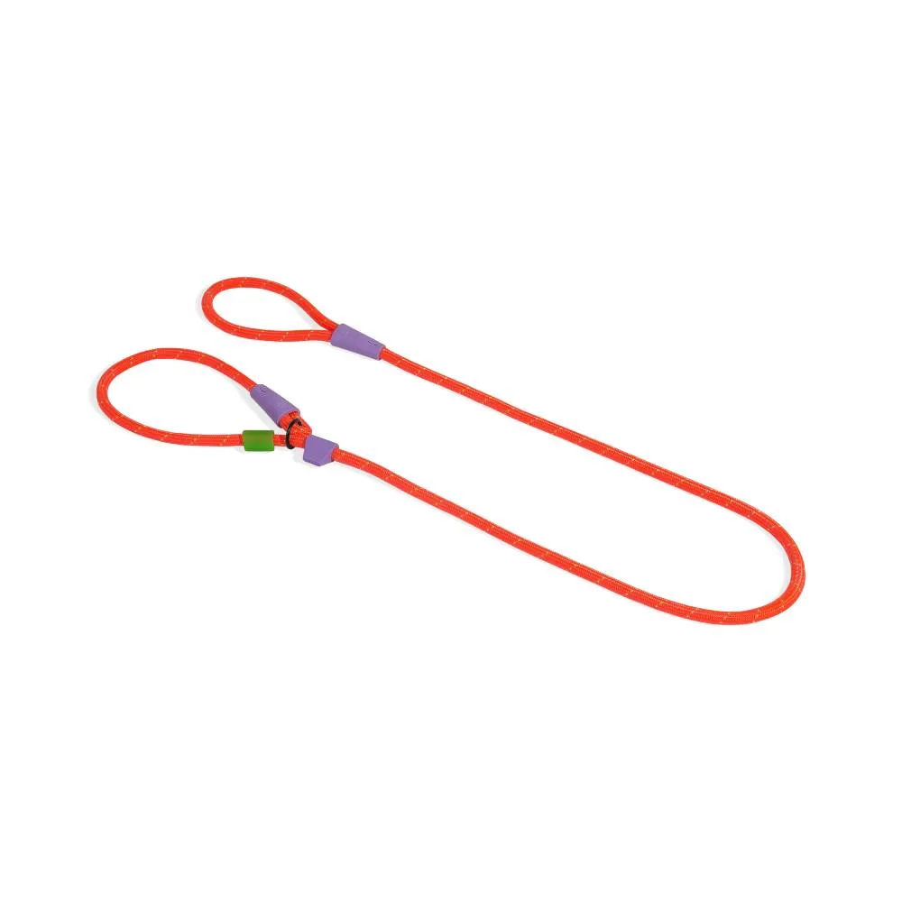 Zee.Dog Slip-N-Lock Leash Everest