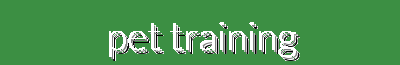 Ultimate Guide to Remote-Controlled Training Collars and Innovative Behavior Tracking Devices